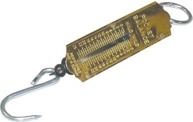 Balance à ressort portable 12,5 kg