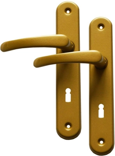 Ferrure de porte MICHAELA poignée avec cylindre à clé 72 mm doré