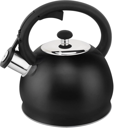 Bouilloire en acier inoxydable 1,8 l noir mat