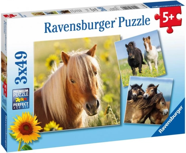 Ravensburger puzzle chevaux adorables 3×49 pièces
