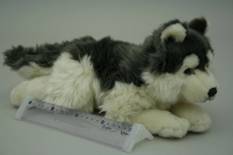 Husky en peluche 35 cm