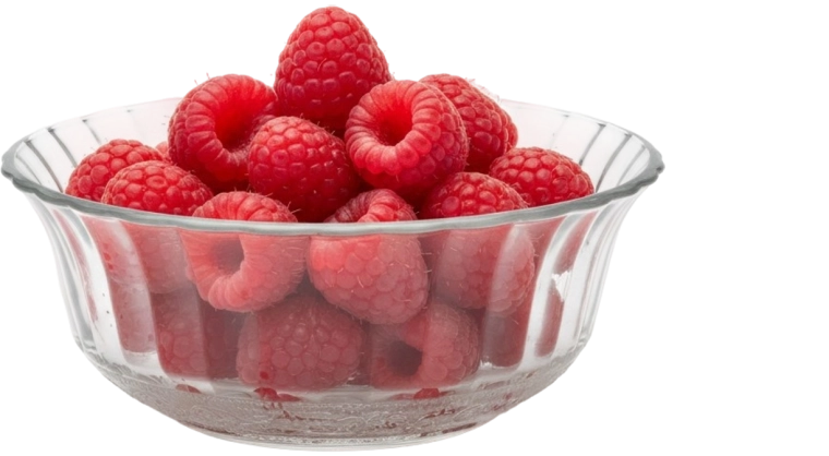 Saladier en verre Klara 650 ml