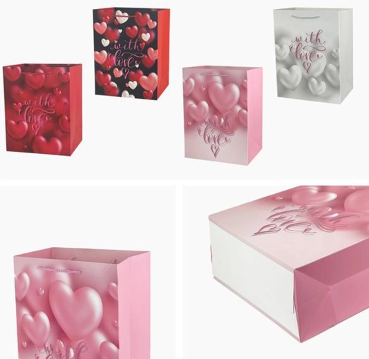 Sac cadeau 23 × 18 × 10 cm – motifs assortis