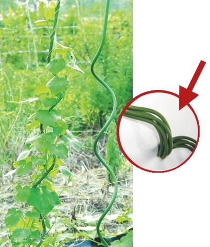 Tuteur spiralé pour plantes 150 cm, diamètre 11 mm