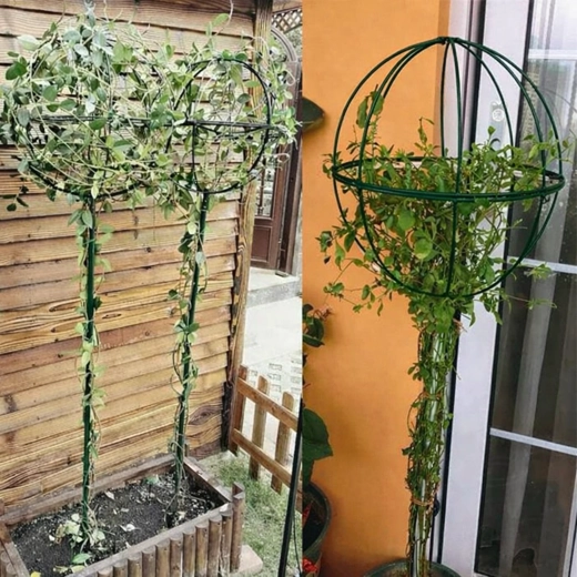 Support métallique de jardin pour plantes grimpantes 50 × 10 cm, vert