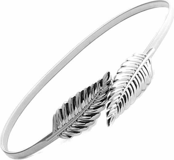 Bq53h ceinture femme 68-100 cm argentée