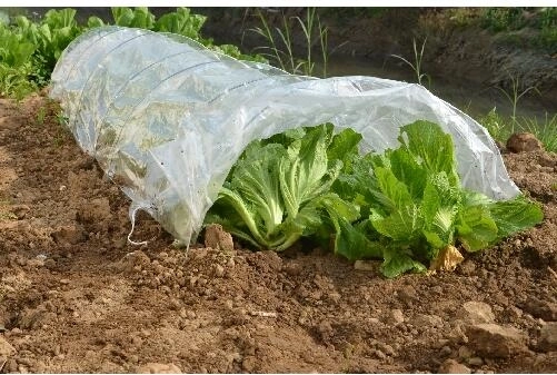 Serre tunnel de jardin 300 × 65 × 45 cm