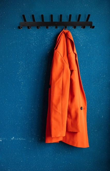 Porte-manteau mural en métal 17 crochets – noir