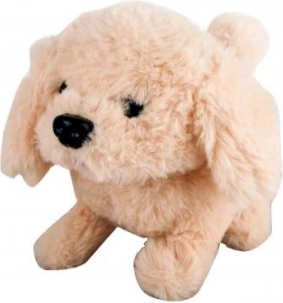 Chiot beige à piles