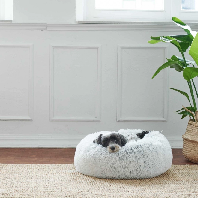 Panier design pour animaux de compagnie