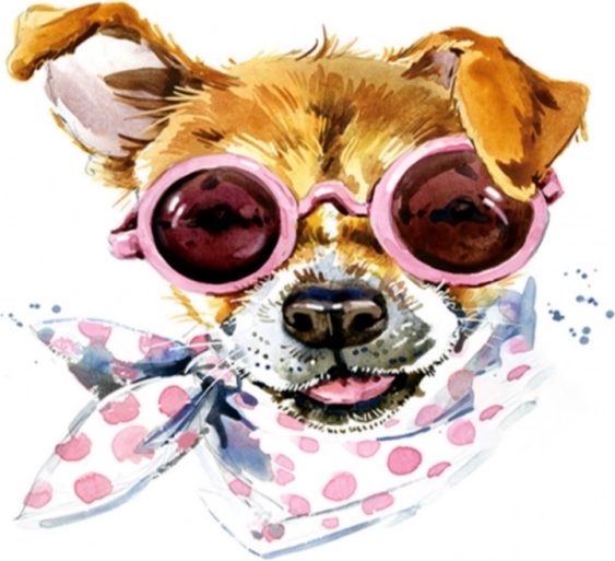 Mosaïque diamant (diamond painting) chien avec foulard 35 × 35 cm