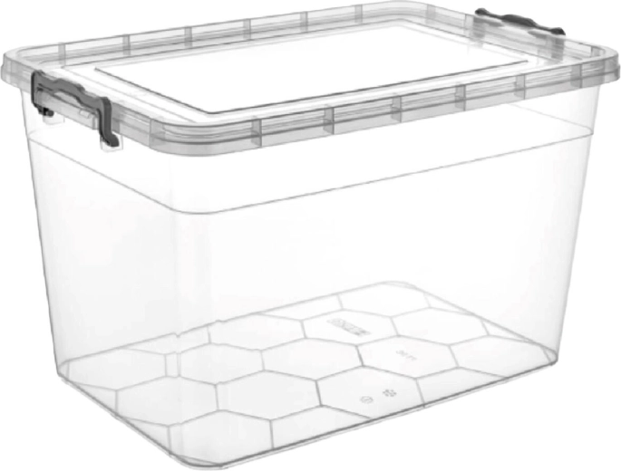 Boîte de rangement Gema 30 l avec couvercle et clips, transparente