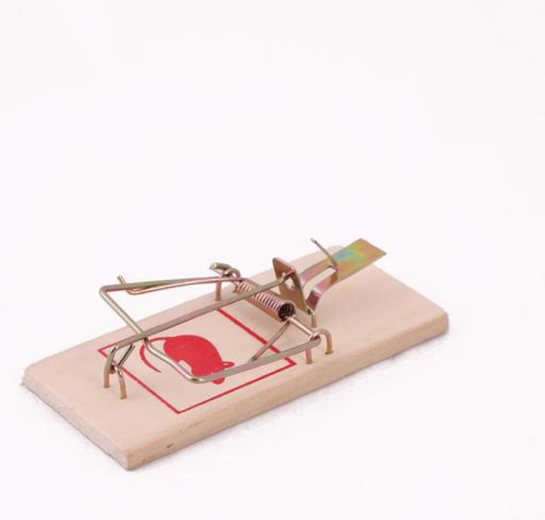 Pièges à souris en bois, lot de 3 pièces