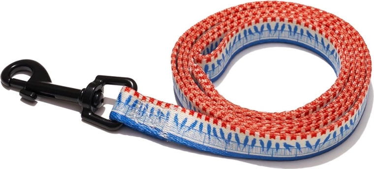 Explorer dog laisse pour chiens Oiseaux S 120 × 1,5 cm