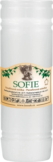 Recharge de bougie funéraire 18 cm, blanche, paraffine