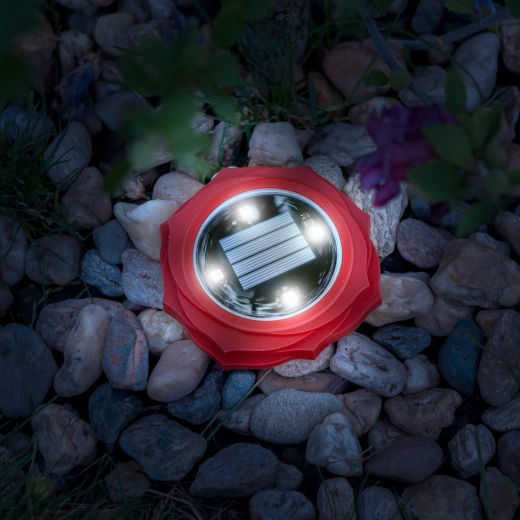 Lampe LED solaire à planter, rouge, avec lumière blanche froide