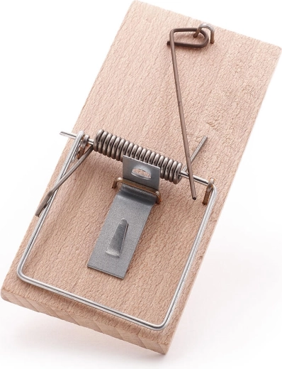 Piège à souris en bois de hêtre