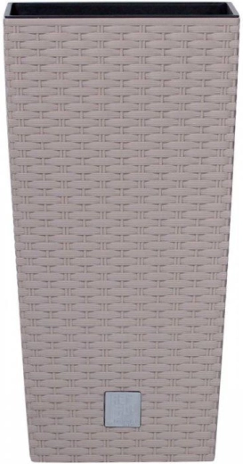 Pot Rato Square, moka