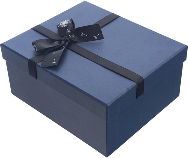 Boîte cadeau en papier, décor bleu 21 × 18,5 × 10 cm