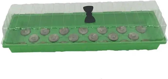 Plateau de semis en plastique avec couvercle 57,5 × 17 × 13,5 cm