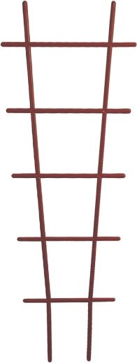 Support pour plantes grimpantes échelle marron 67 cm