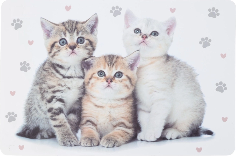 Set de table en plastique pour enfants avec animaux 43,5 × 28,5 cm