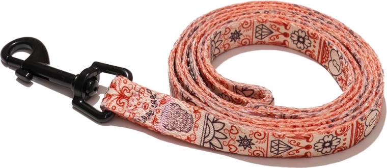 Explorer Dog laisse cœur S 120 × 1,5 cm