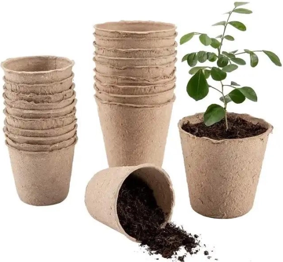 Godets en papier 6 × 6 cm, lot de 36 pièces