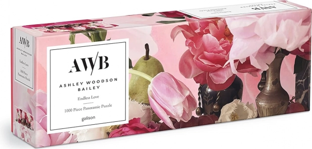 Puzzle panoramique Endless Love 1000 pièces de GALISON