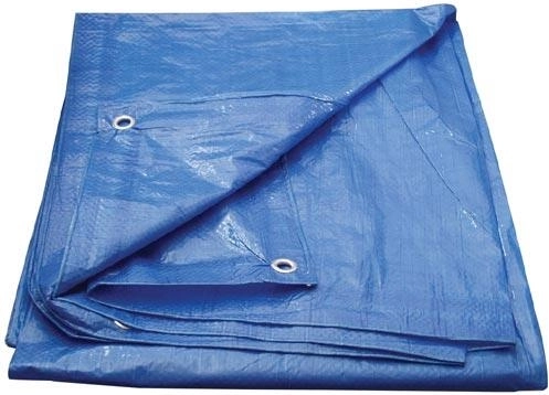 Bâche de couverture avec œillets 4 × 6 m, bleue, Economy
