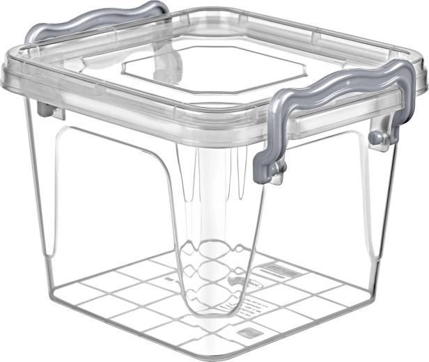 Boîte alimentaire Multi Box 0,55 l avec clips