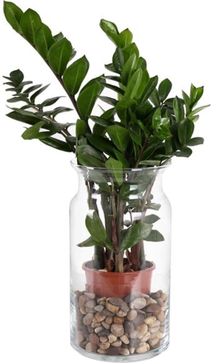 Vase en verre Bose 15,5 × 29,5 cm