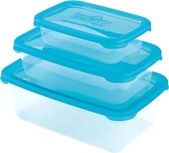 Boîtes en plastique avec couvercle HEIDRUN Polar Frost, lot de 3 pièces