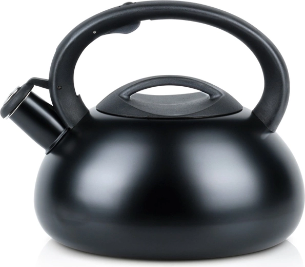 Bouilloire sifflante Vilde en acier inoxydable 3 l noire - 1 pièce
