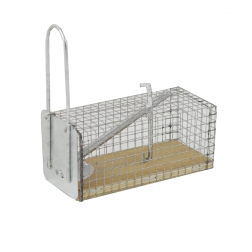 Piège vivant pour souris et rats 11 × 5,5 × 5,5 cm