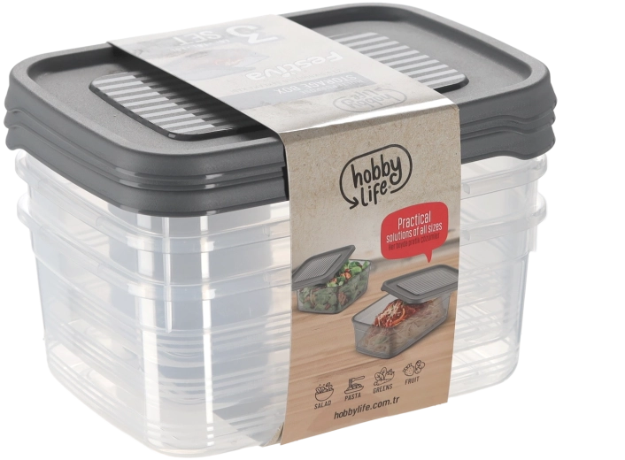 Hobby Life Festiva lot de 3 boîtes rectangulaires 1,6 l