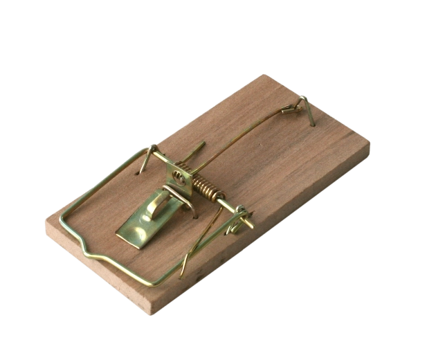 Piège à souris en bois BROS