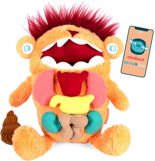 Jouet éducatif Créature - Découvre l’intérieur incroyable