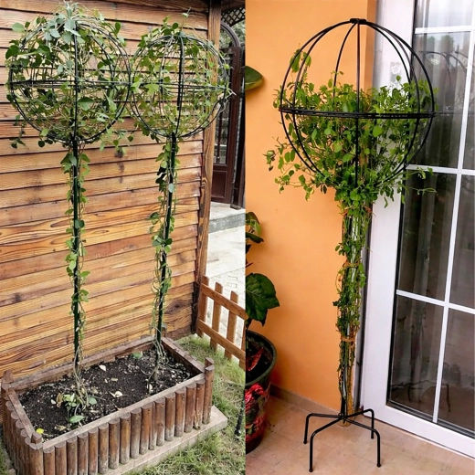 Support de jardin en métal pour plantes grimpantes 50 × 10 cm – noir