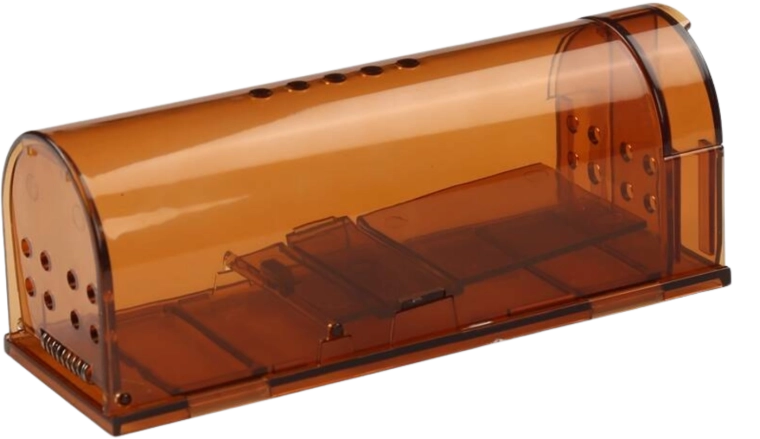 Piège vivant humain pour souris et rats, transparent, 17 × 6,2 × 6,4 cm, lot de 2