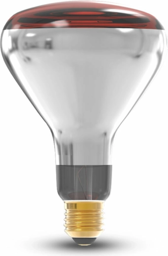 Modee TECHNIK ampoule infrarouge E27 250 W R125