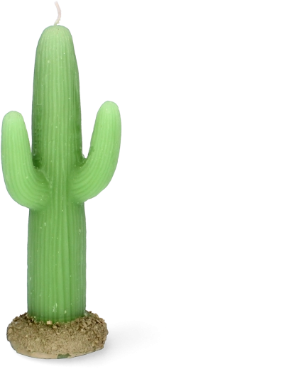 Bougie en forme de cactus 17,5 cm – bougie décorative en paraffine
