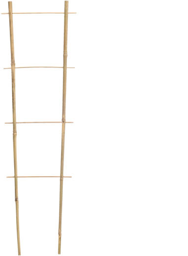 Tuteur de jardin en bambou 90 × 35 cm, diamètre 10/12 mm