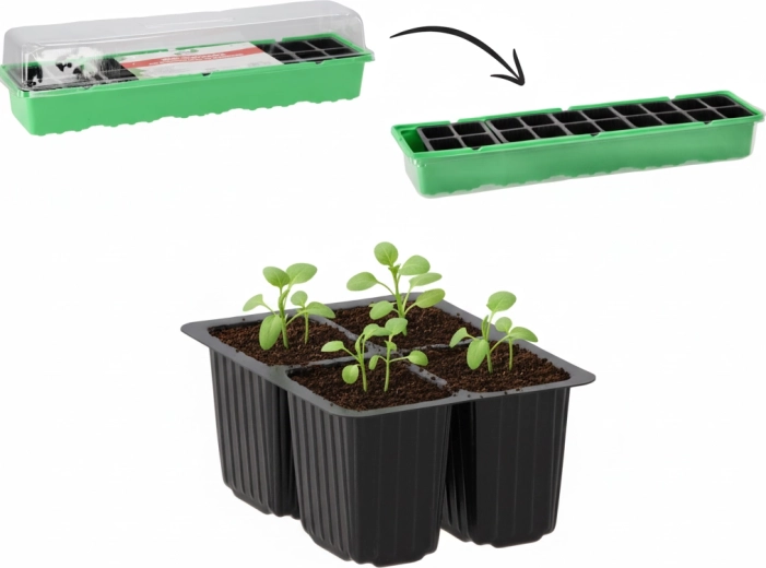 Mini-serre de germination avec 20 alvéoles