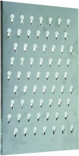 Plaque de rechange pour râpe à betteraves 210 × 320 mm