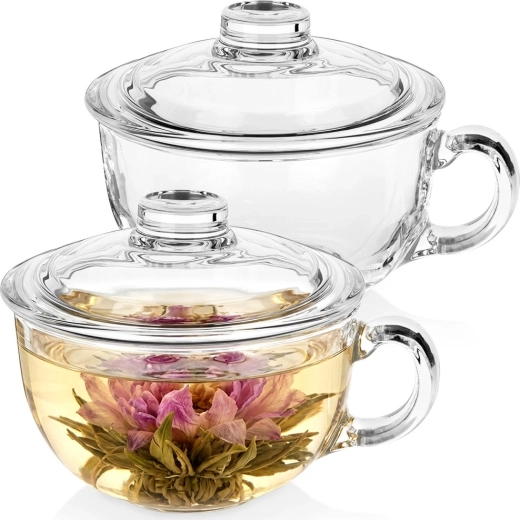 Tasses en verre avec couvercle 520 ml – lot de 2