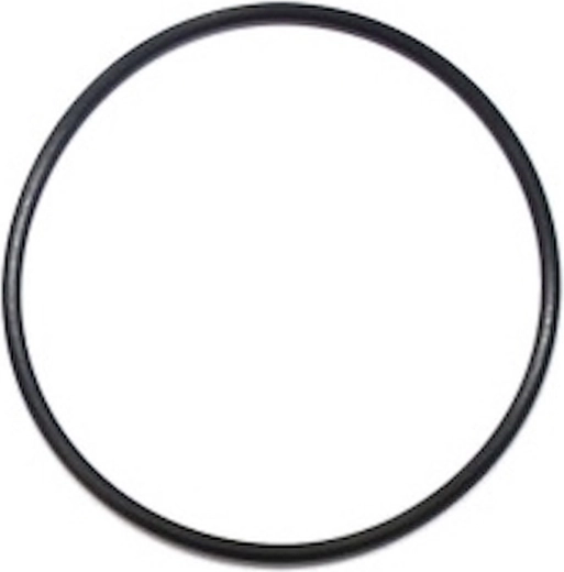 Joint de tête de filtration Prostar 3 et Prostar Profi 4/6