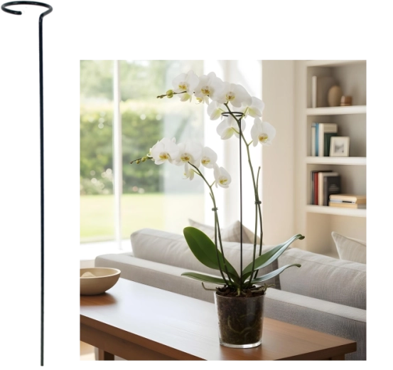 Support simple pour plantes 60 cm