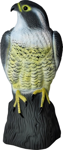 Maquette réaliste de faucon – grand effaroucheur d’oiseaux pour jardins et balcons