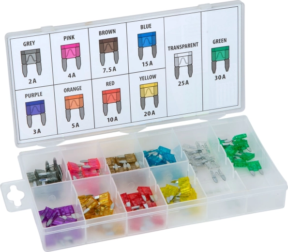 Kit de mini fusibles automobiles à lame en boîte, 100 pièces, 2–30 A
